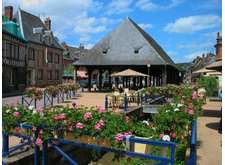 Rando Fête de la Jonquille à Clères (13 kms)